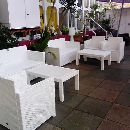 Alce Плайя-де-Пальма