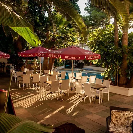 Alce Guest house *
