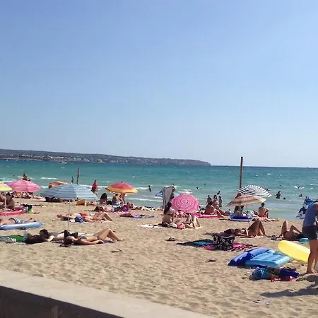 Alce Playa de Palma (Mallorca)