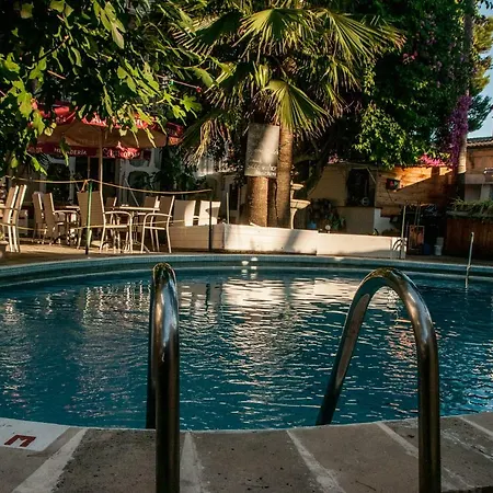 爱丽丝旅馆 帕尔马海滩