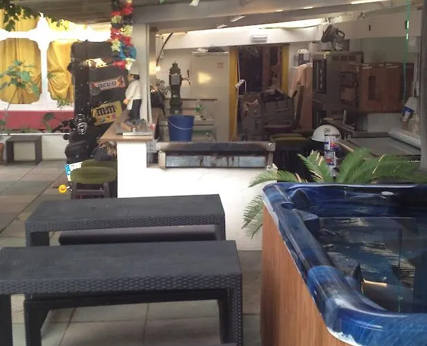 Alce Playa de Palma (Mallorca)