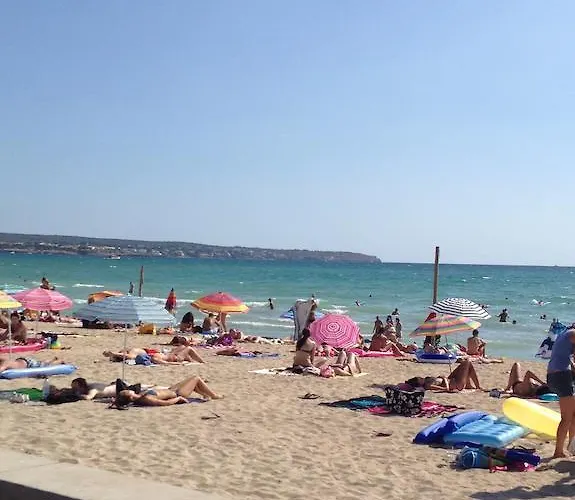 Alce Playa de Palma (Mallorca)