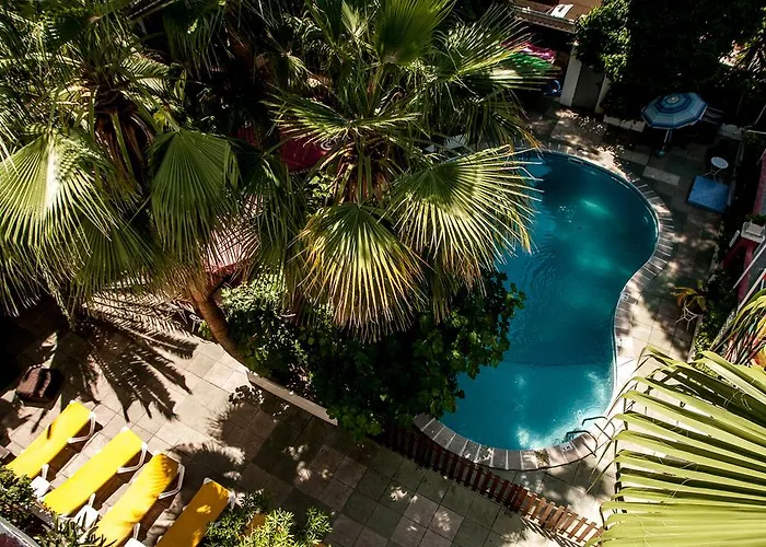 Alce 2* Playa de Palma (Mallorca)