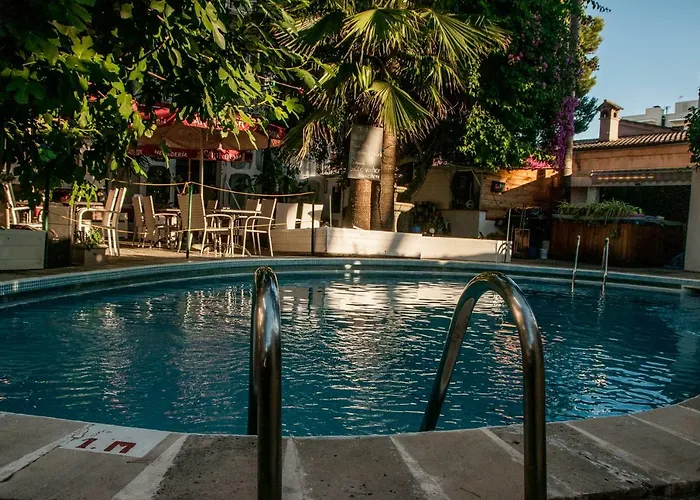 Alce Playa de Palma (Mallorca)